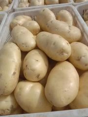 Fresh Premium Potatoes  – product photo 1, product detail gallery